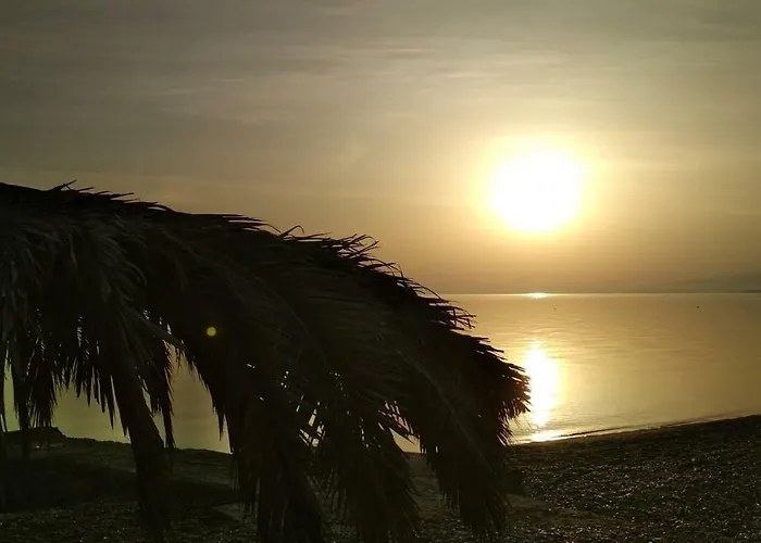 Athanasia * Νεράντζα